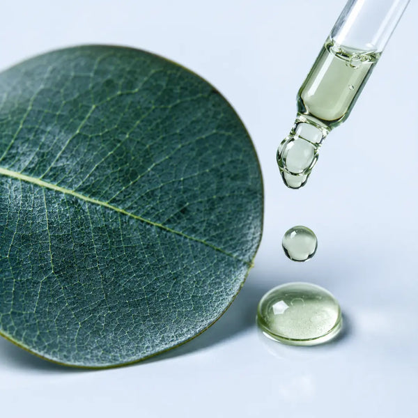 Aceite Esencial de Eucalipto